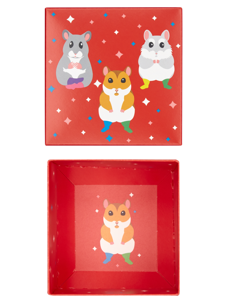 Boite Cadeau Carrée Hamsters - 2 à 4 paires