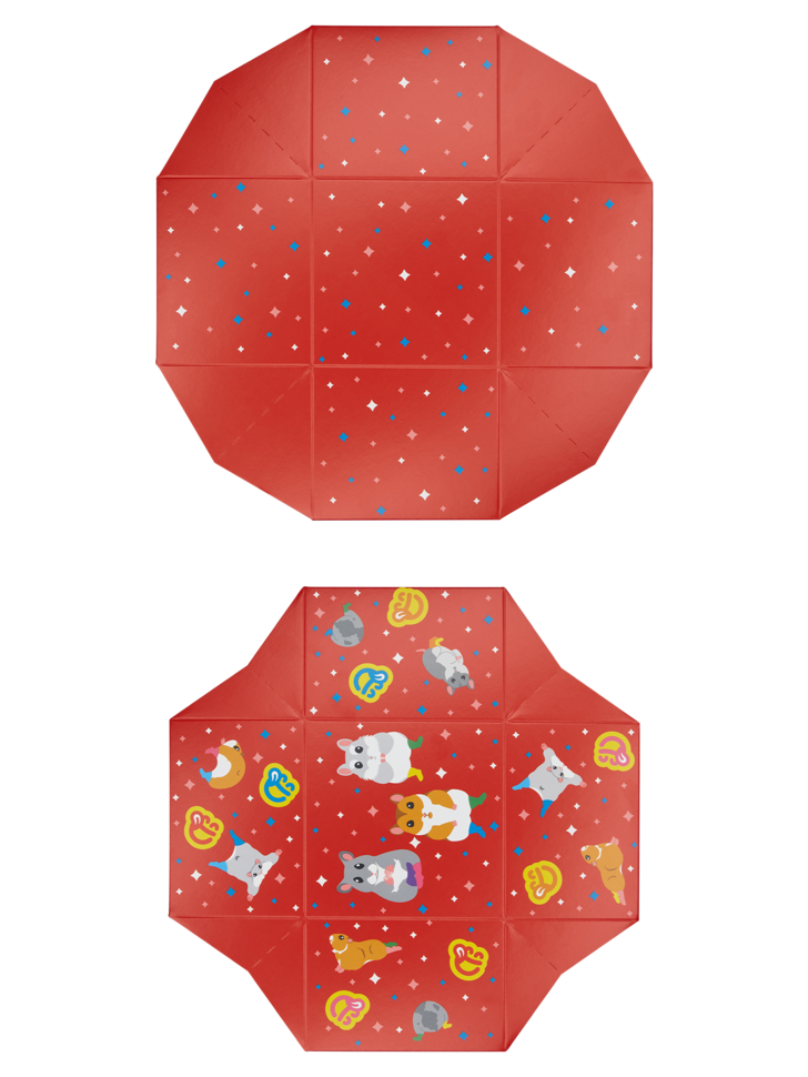 Boite Cadeau Carrée Hamsters - 2 à 4 paires
