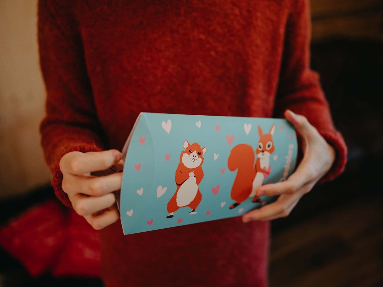 Le Bar a Chaussettes - Boite Cadeau Hamster et Ecureuil - 2 - 3 paires