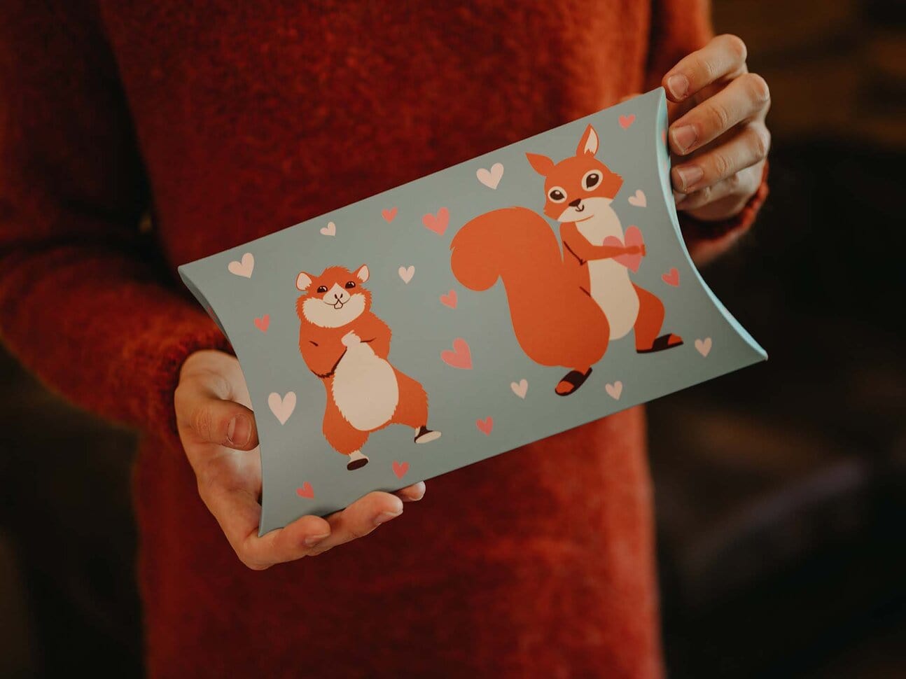 Le Bar a Chaussettes - Boite Cadeau Ovale Hamster et Ecureuil - 1 à 2 paires