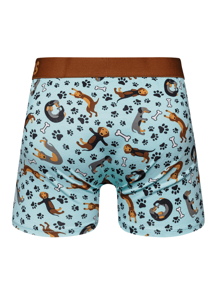 Le Bar a Chaussettes - Boxer Homme Teckel