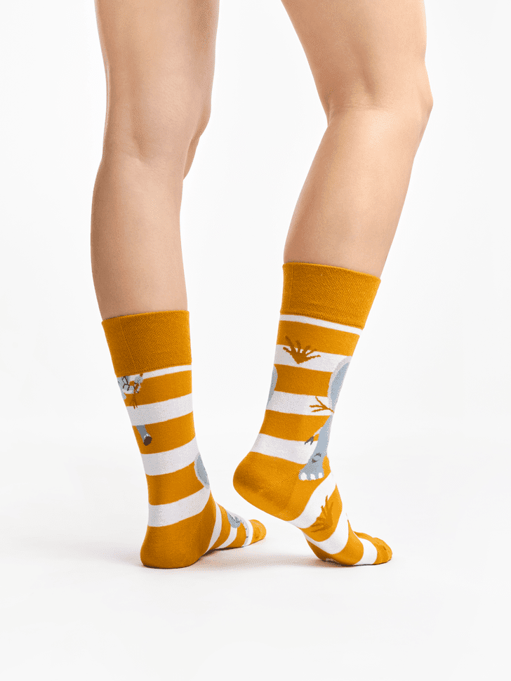 Le Bar a Chaussettes - Chaussettes Éléphant et Rayures