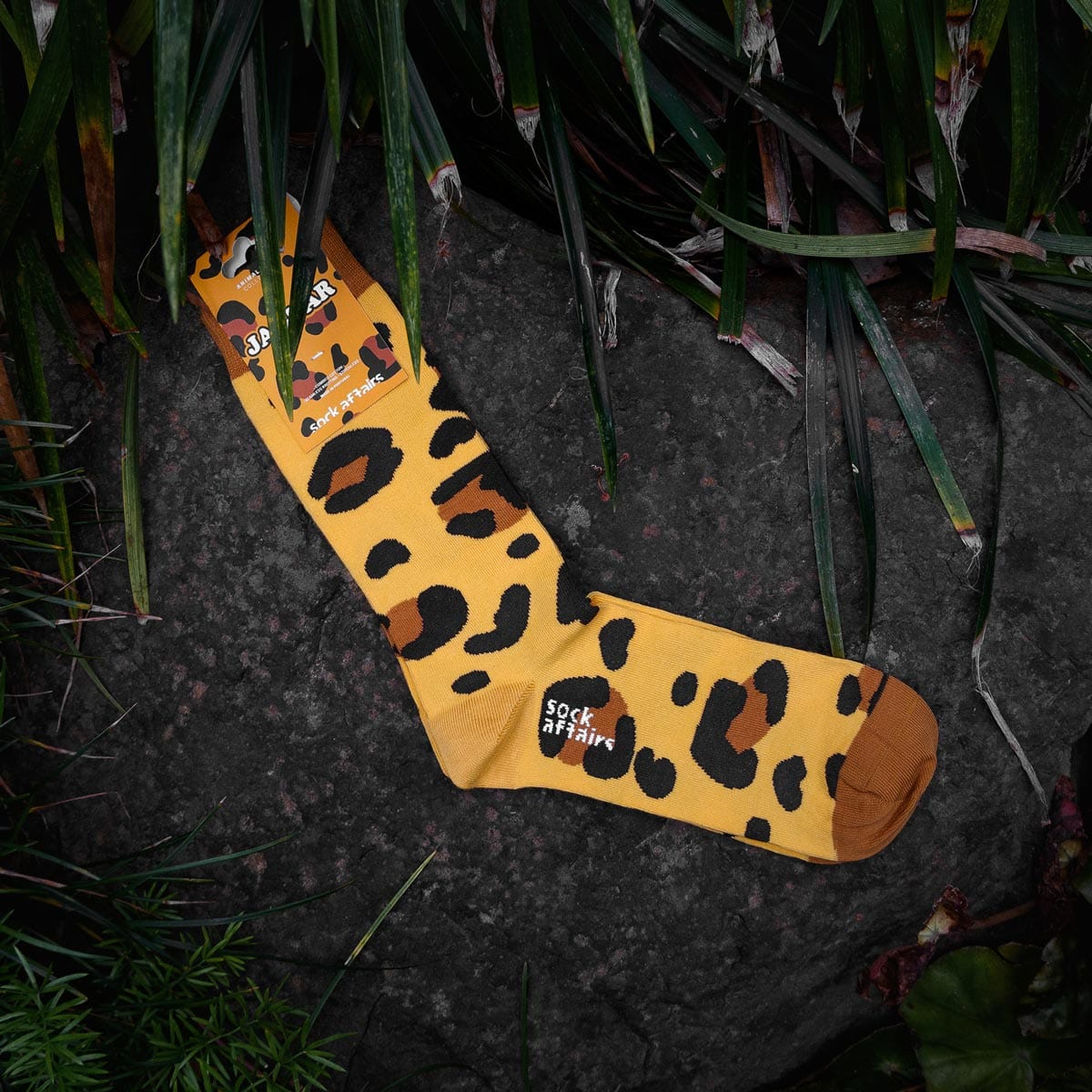 Le Bar a Chaussettes - Chaussettes Jaguar