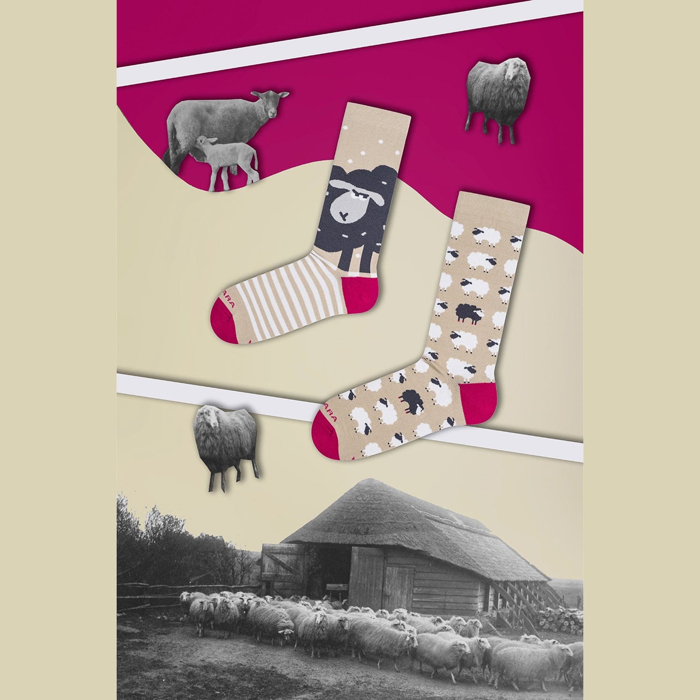 Le Bar a Chaussettes - Chaussettes Moutons Noirs