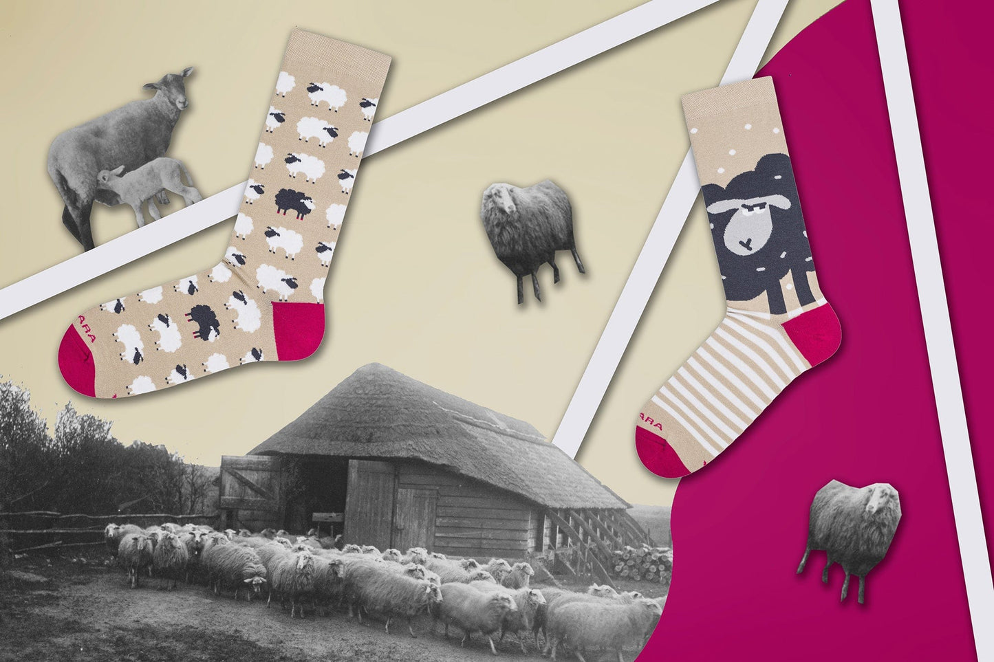 Le Bar a Chaussettes - Chaussettes Moutons Noirs