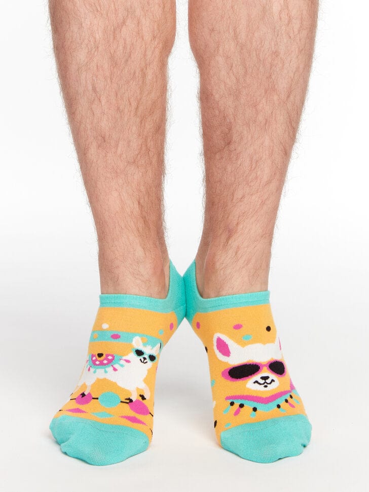 Le Bar a Chaussettes - Socquettes Invisibles Lamas Sympas