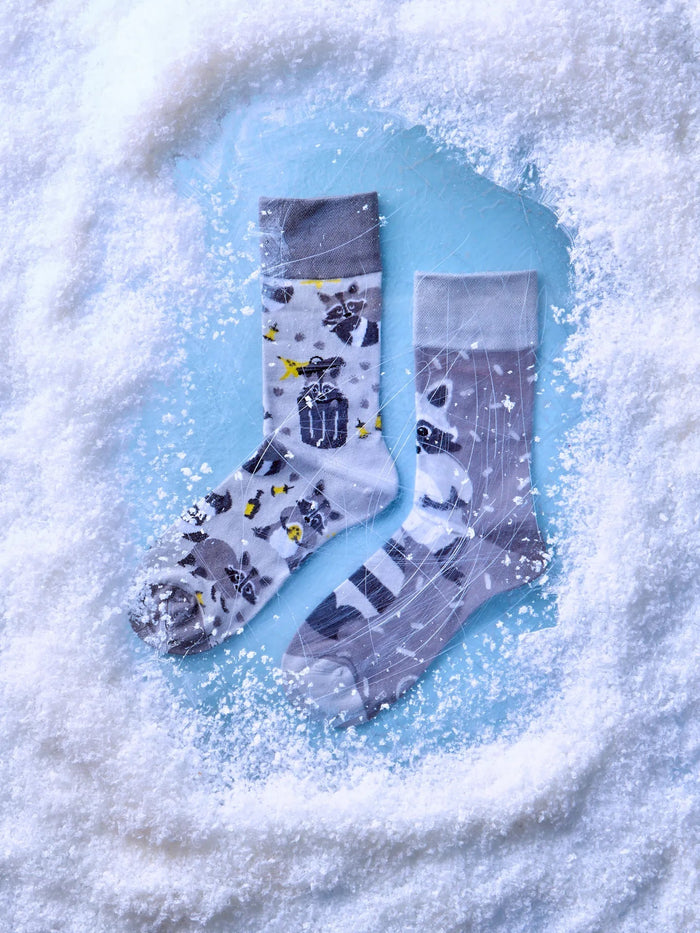 Chaussettes Raton Laveur - Dedoles