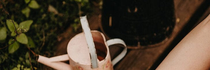 Collection promotions