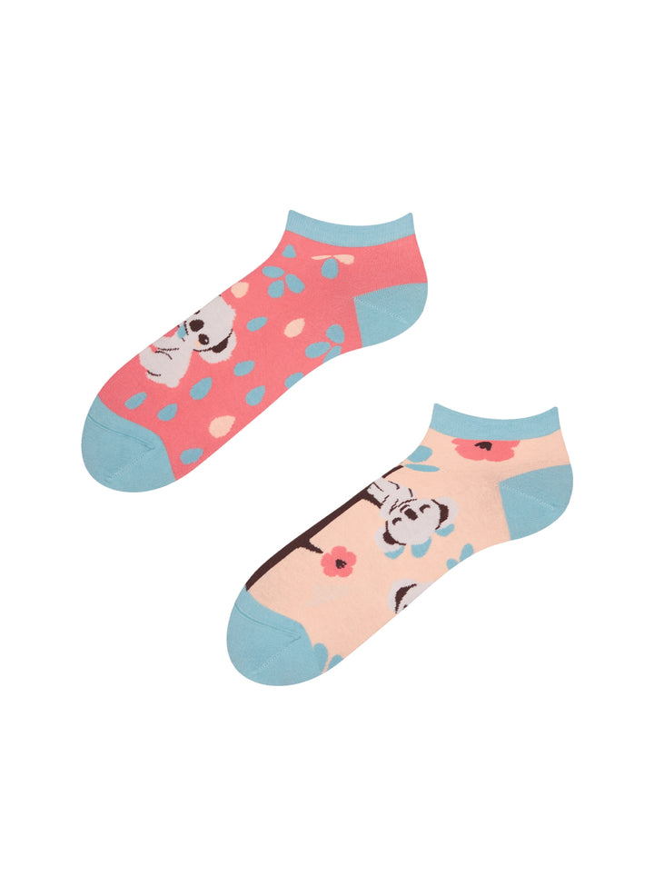 Socquettes Koala Somnolant - Dedoles