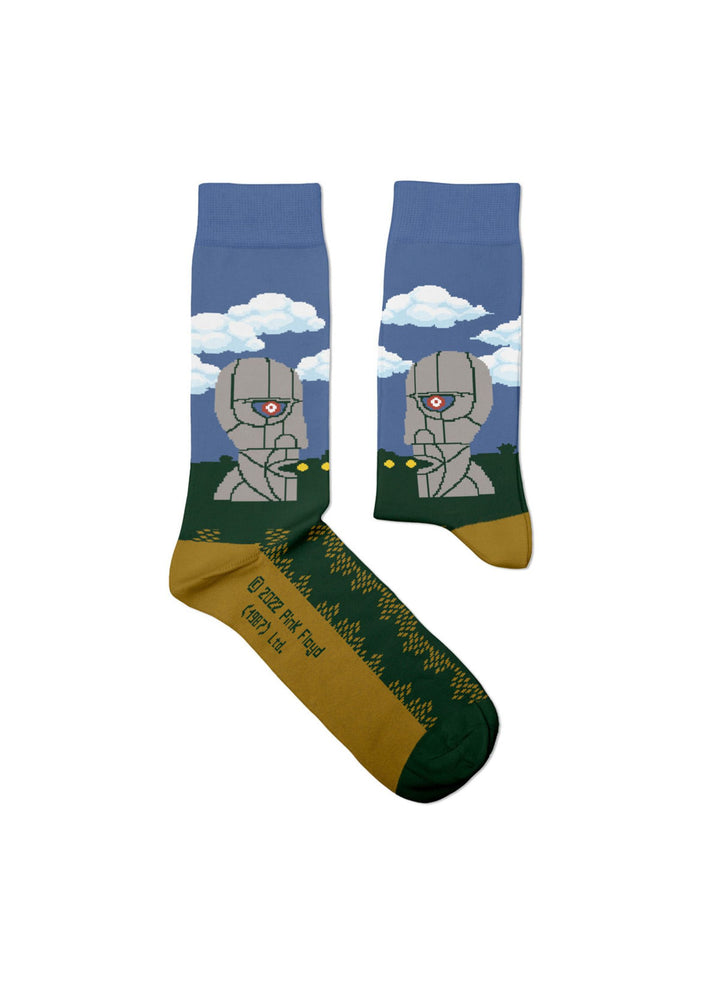 Chaussettes Pink Floyd, The Division Bell - Sock Affairs