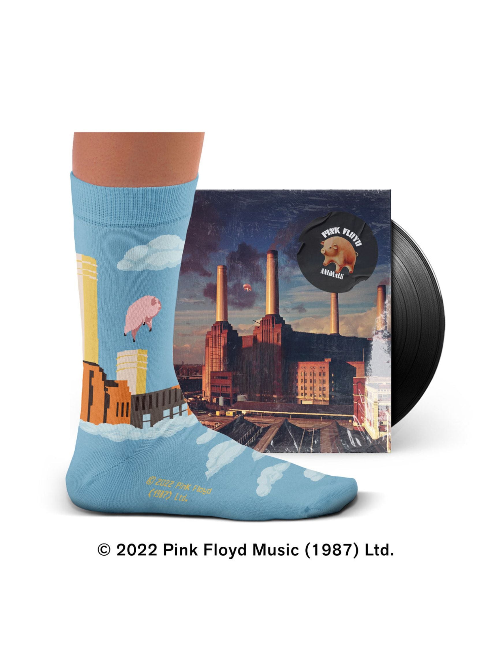 Chaussettes Animals, Pink Floyd