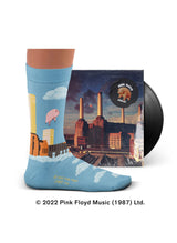 Chaussettes Pink Floyd, Animals