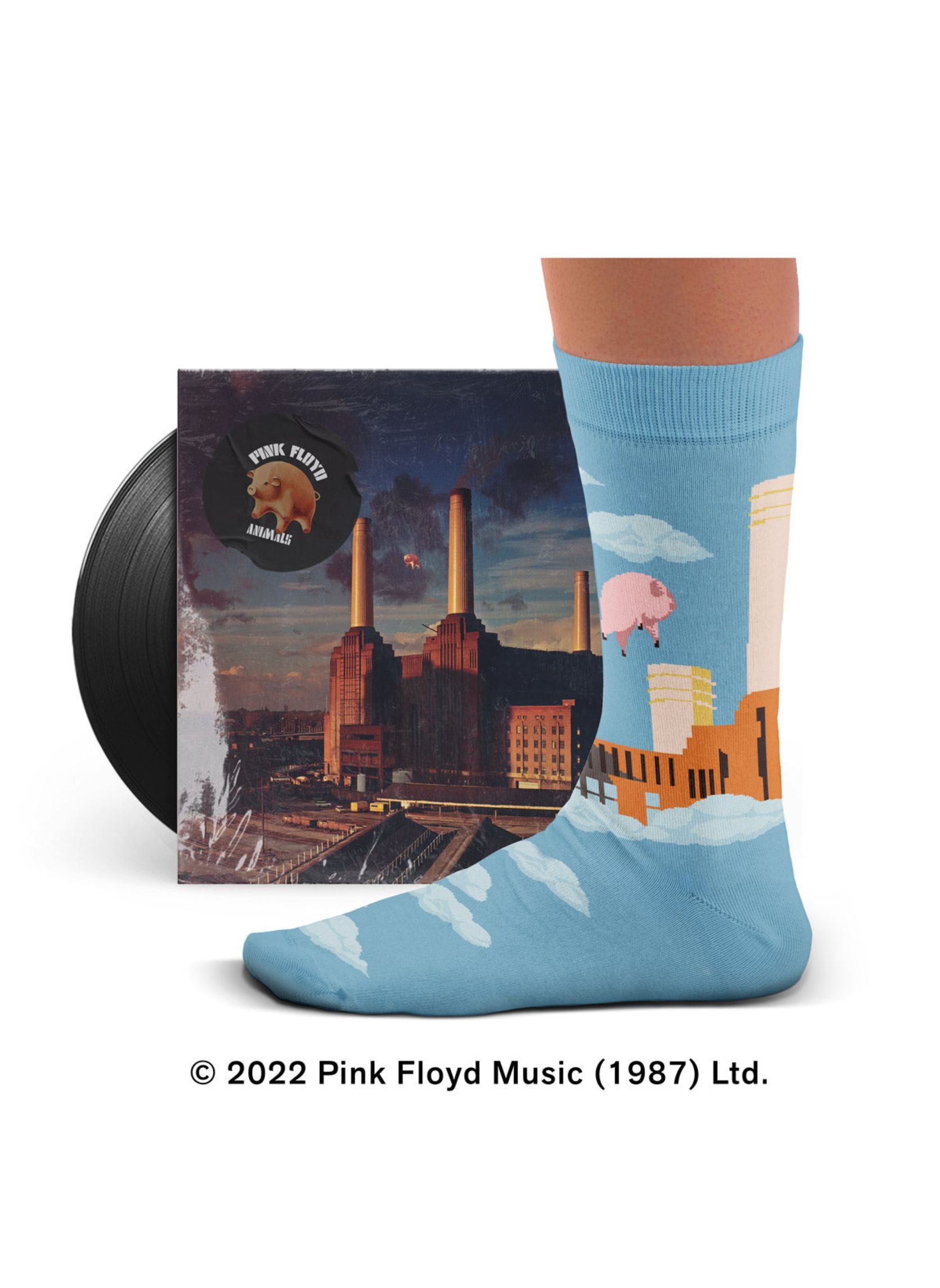 Chaussettes Animals, Pink Floyd