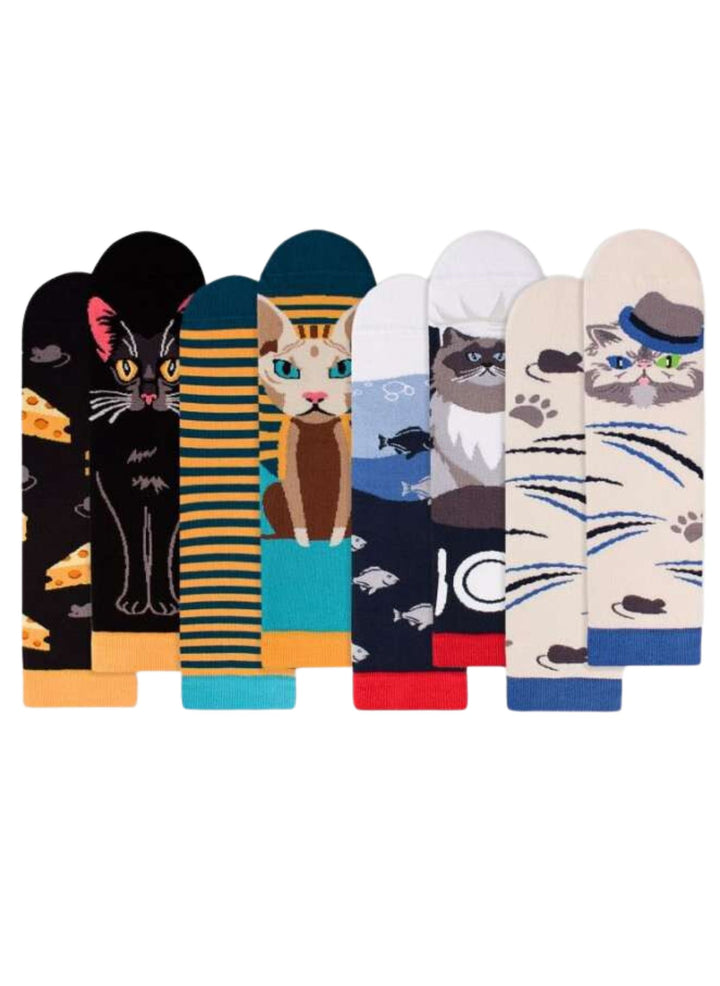 Coffret de 4 Paires de Chaussettes Arty Chats - Pirin Hill