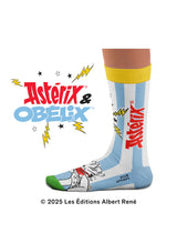 Chaussettes Astérix, Le Duo