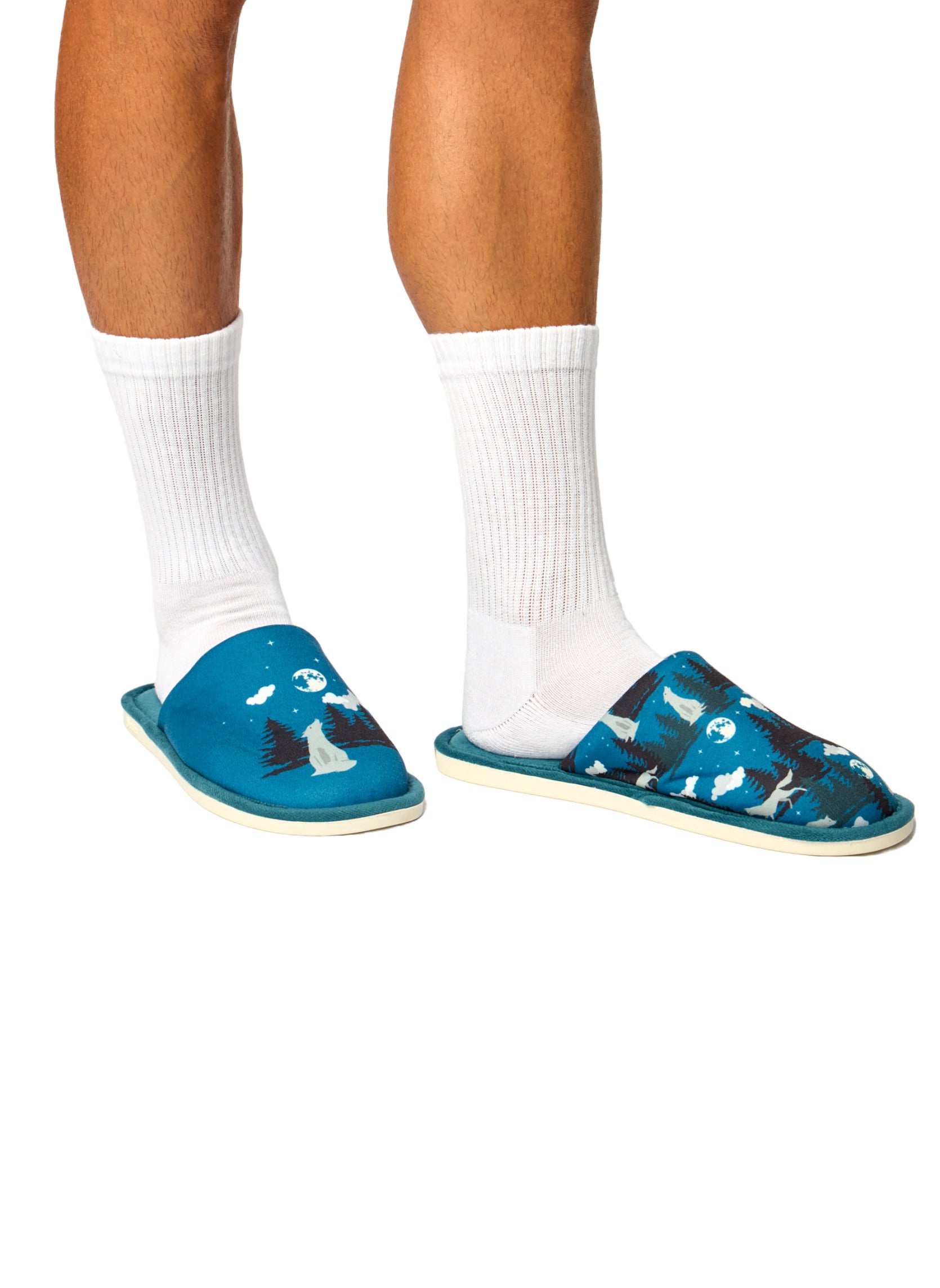 Pantoufles Loup et Lune