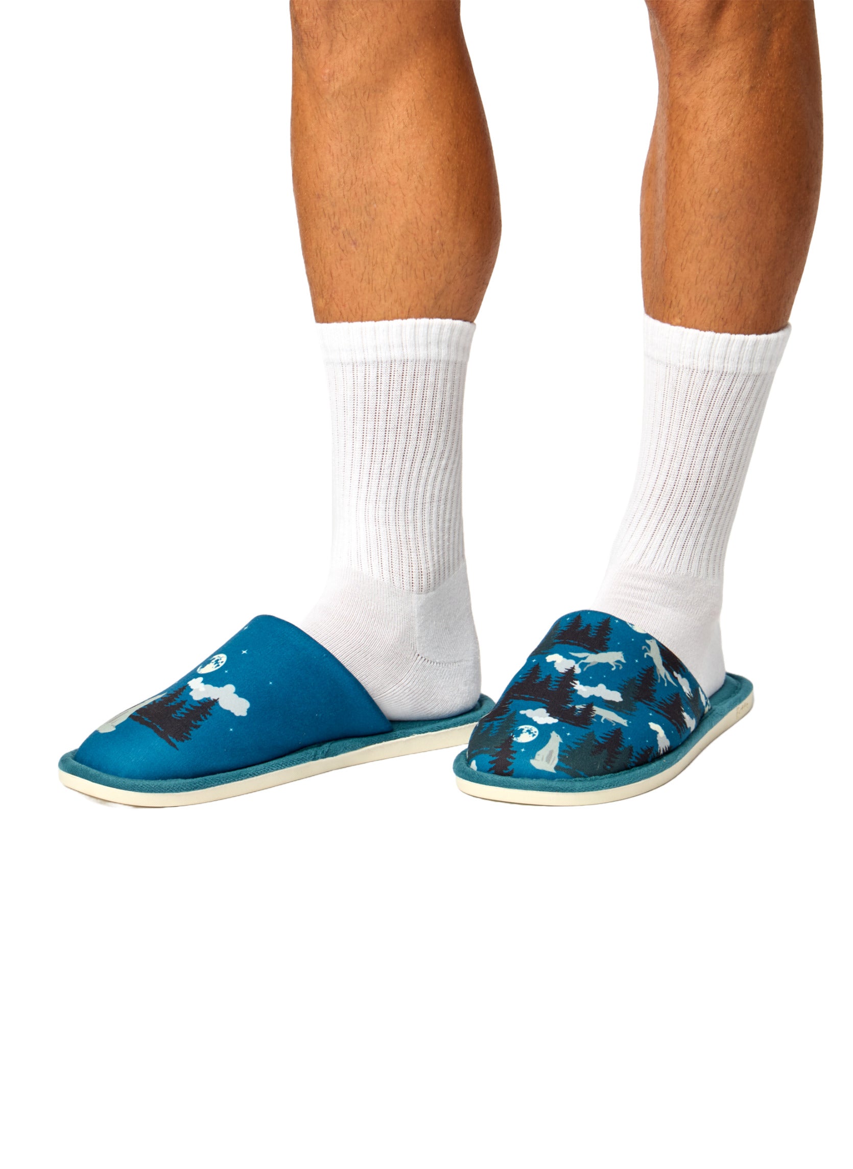 Pantoufles Loup et Lune