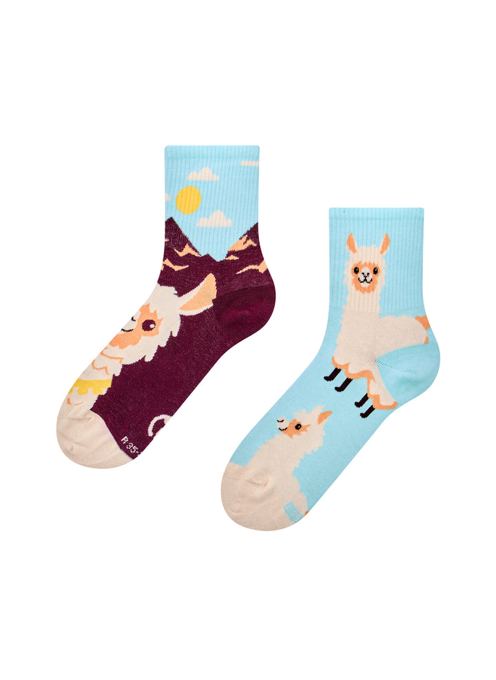 Chaussettes Courtes Alpaga - Dedoles