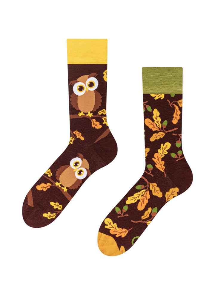 Chaussettes Hibou Curieux - Dedoles