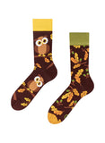 Chaussettes Hibou Curieux