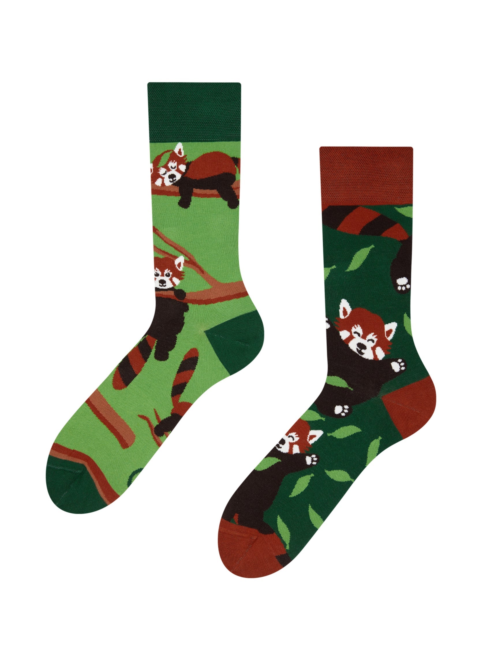 Coffret Panda Roux — chaussettes Dedoles