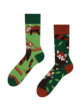 Coffret Panda Roux — chaussettes Dedoles
