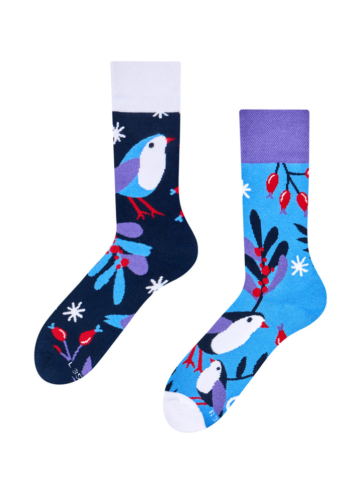 Chaussettes Chaudes Nouveaux Oiseaux d’Hiver - Dedoles
