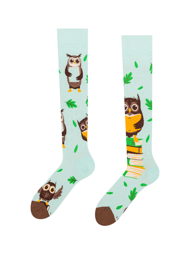 Chaussettes Mi-Bas Hibou & Livres - Dedoles