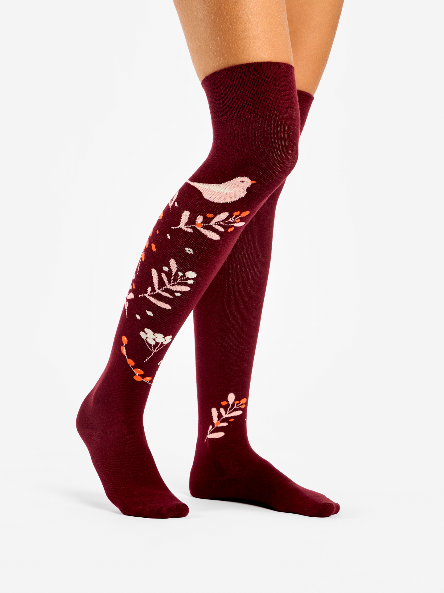 Chaussettes au-dessus des genoux Oiseaux et Baies