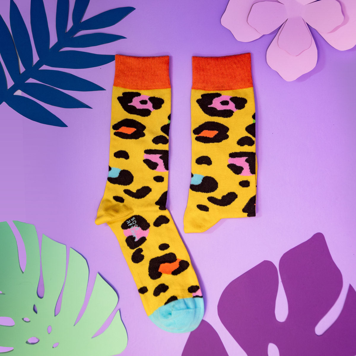 Coffret Chaussettes Animaux Funky