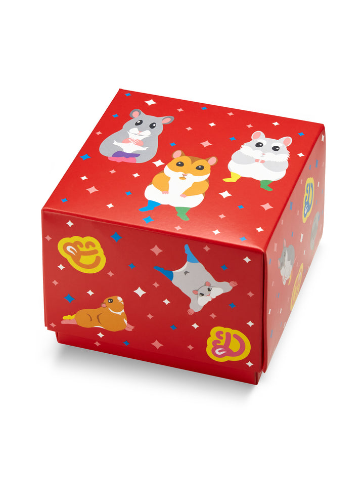 Boite Cadeau Carrée Hamsters - 2 à 4 paires - Dedoles