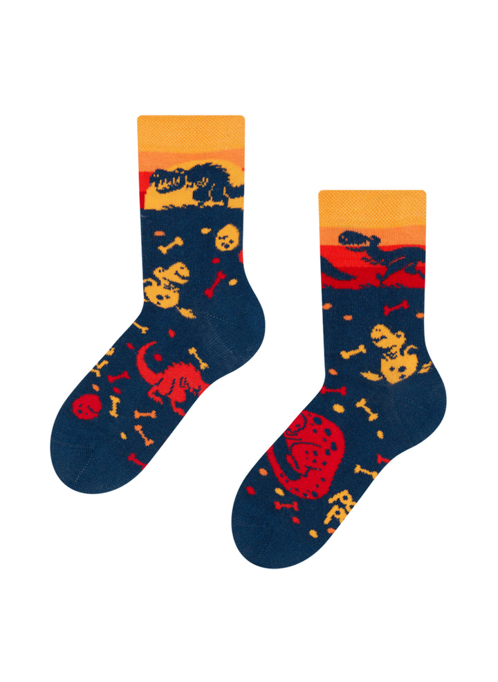 Chaussettes Enfants Monde de Dinosaures - Dedoles