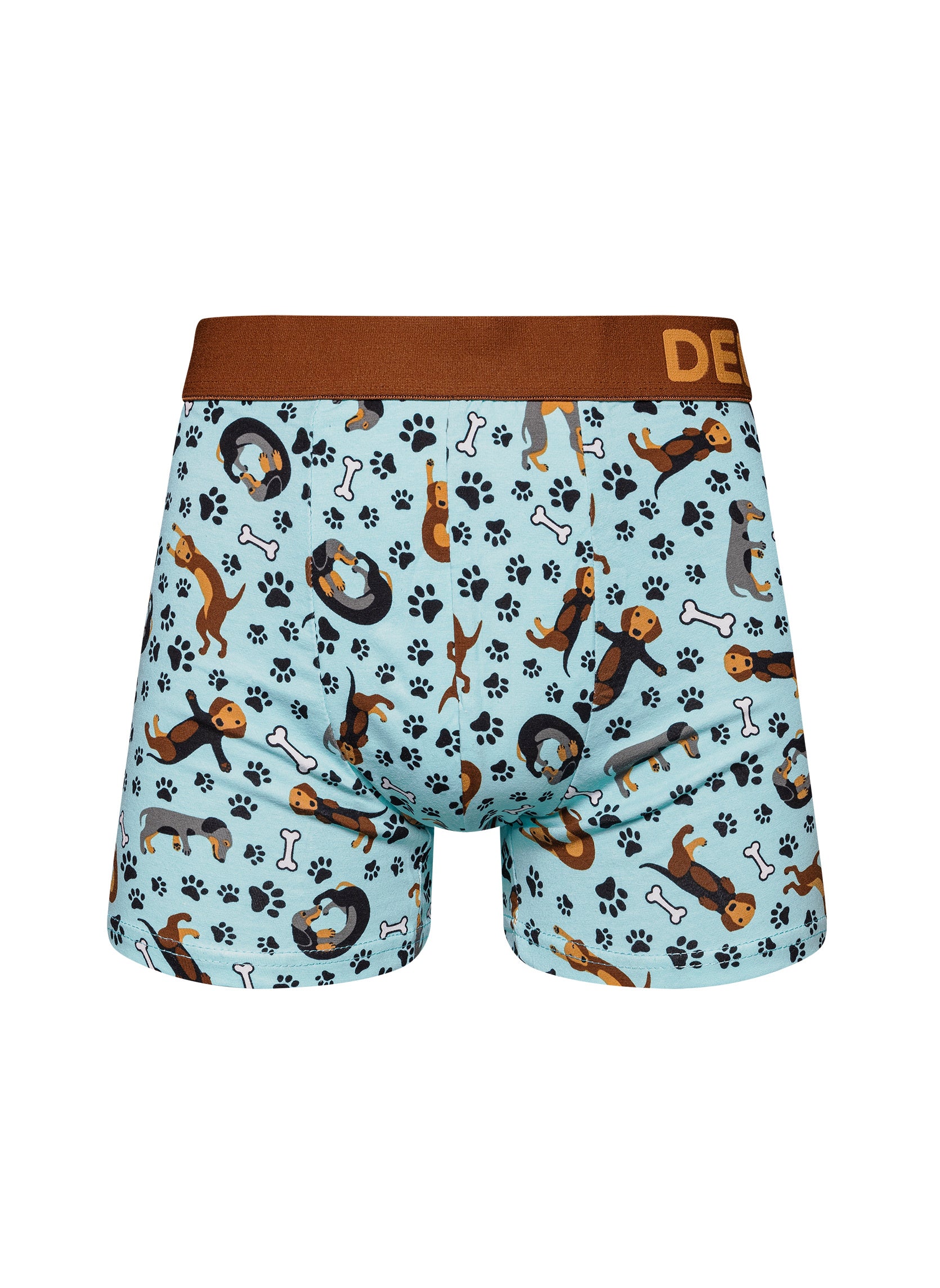 Boxer Homme Teckel