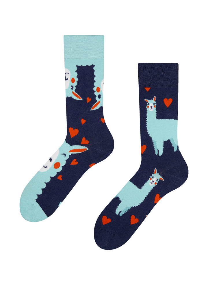 Chaussettes Lama & Cœurs - Dedoles