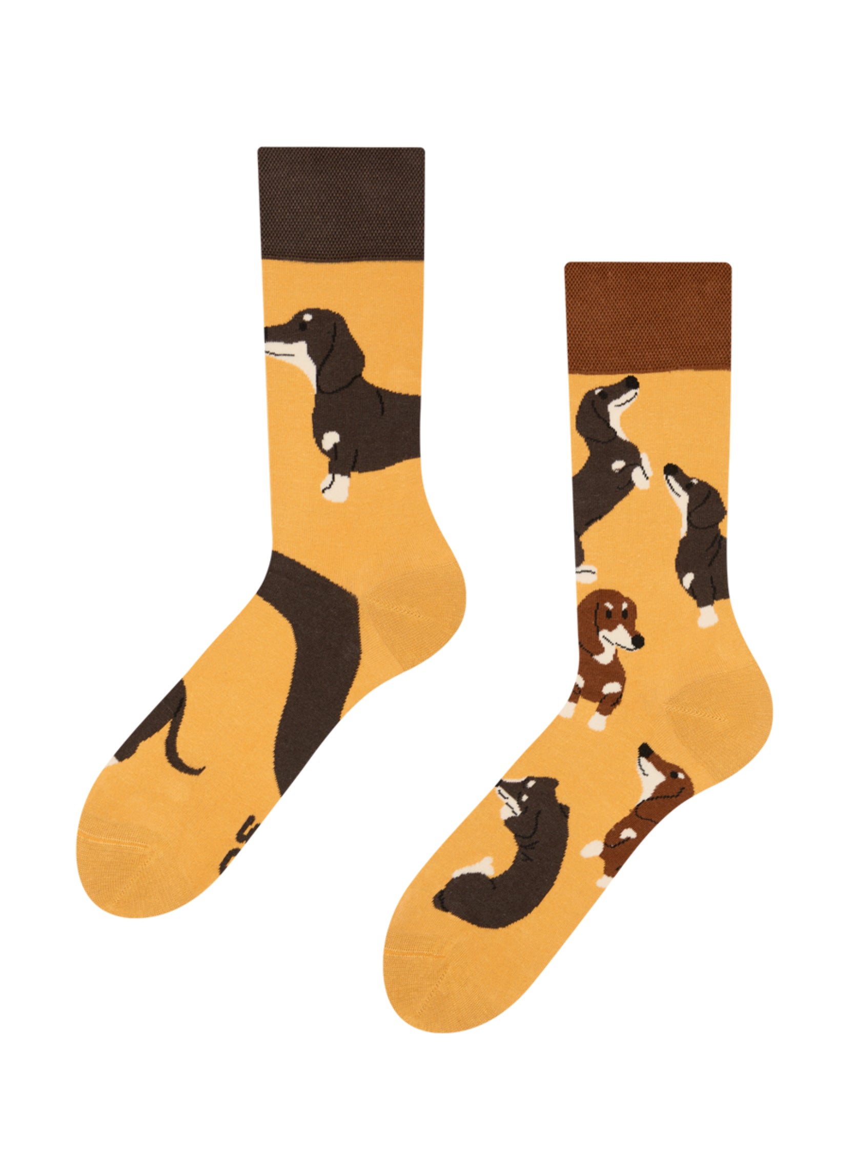 Chaussettes Humour Teckel - 1 Paire Confortable Taille 40-46, Idéale Pour Les Amoureux Des Chiens