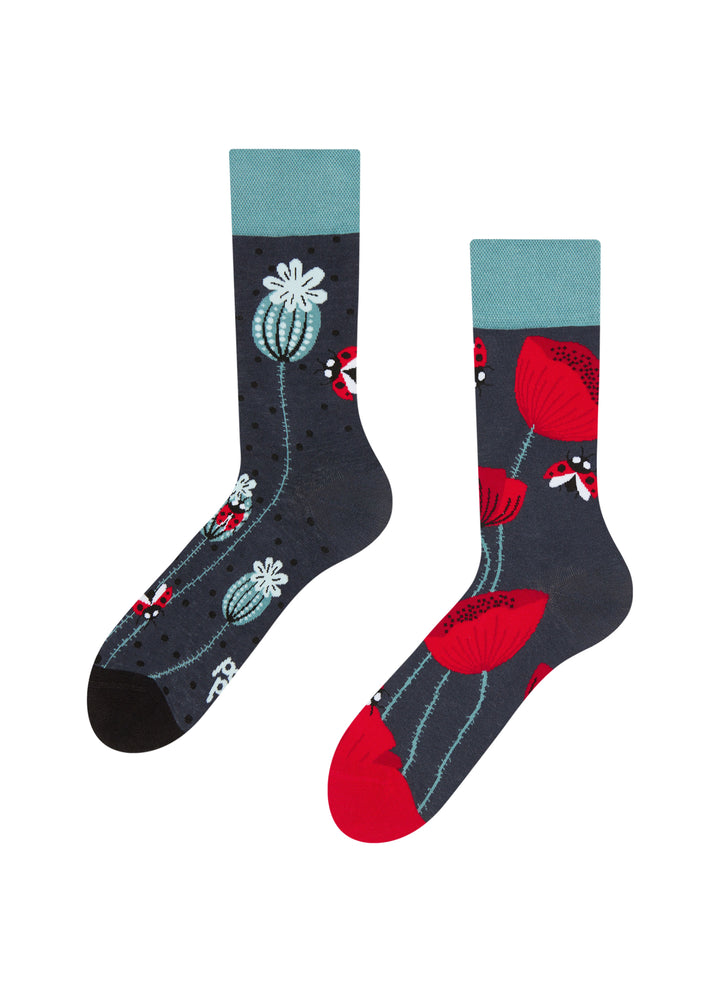 Chaussettes Coccinelles et Fleurs de Pavot - Dedoles
