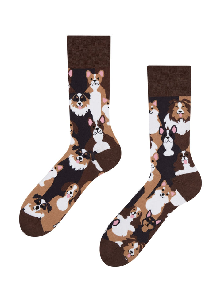 Chaussettes Chiens et Toutous - Dedoles