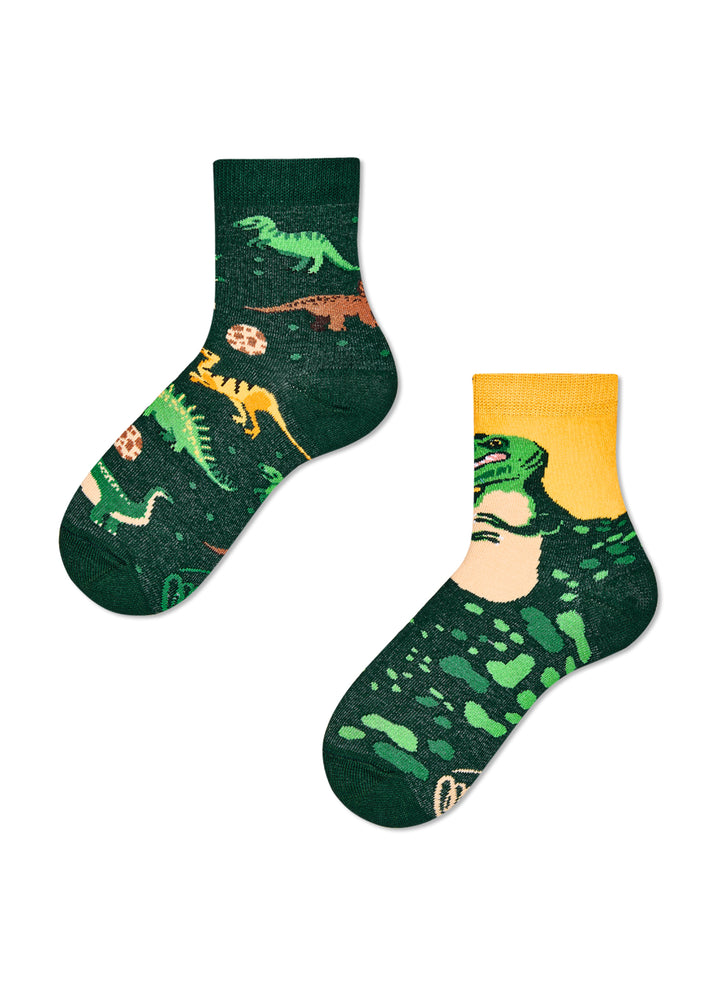 Chaussettes Enfants Les Dinosaures - Many Mornings