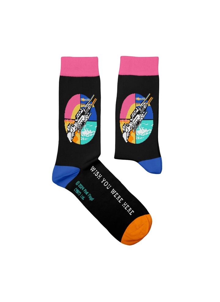 Chaussettes Pink Floyd, Wish You Were Here - Sock Affairs