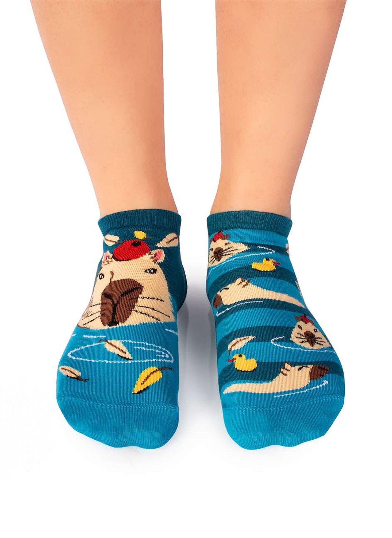 Socquettes Arty Georges le Capybara - Turquoise - Pirin Hill