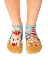 Socquettes Arty Golden Retriever - Packshot