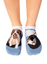 Socquettes Arty Jack Russell - Packshot