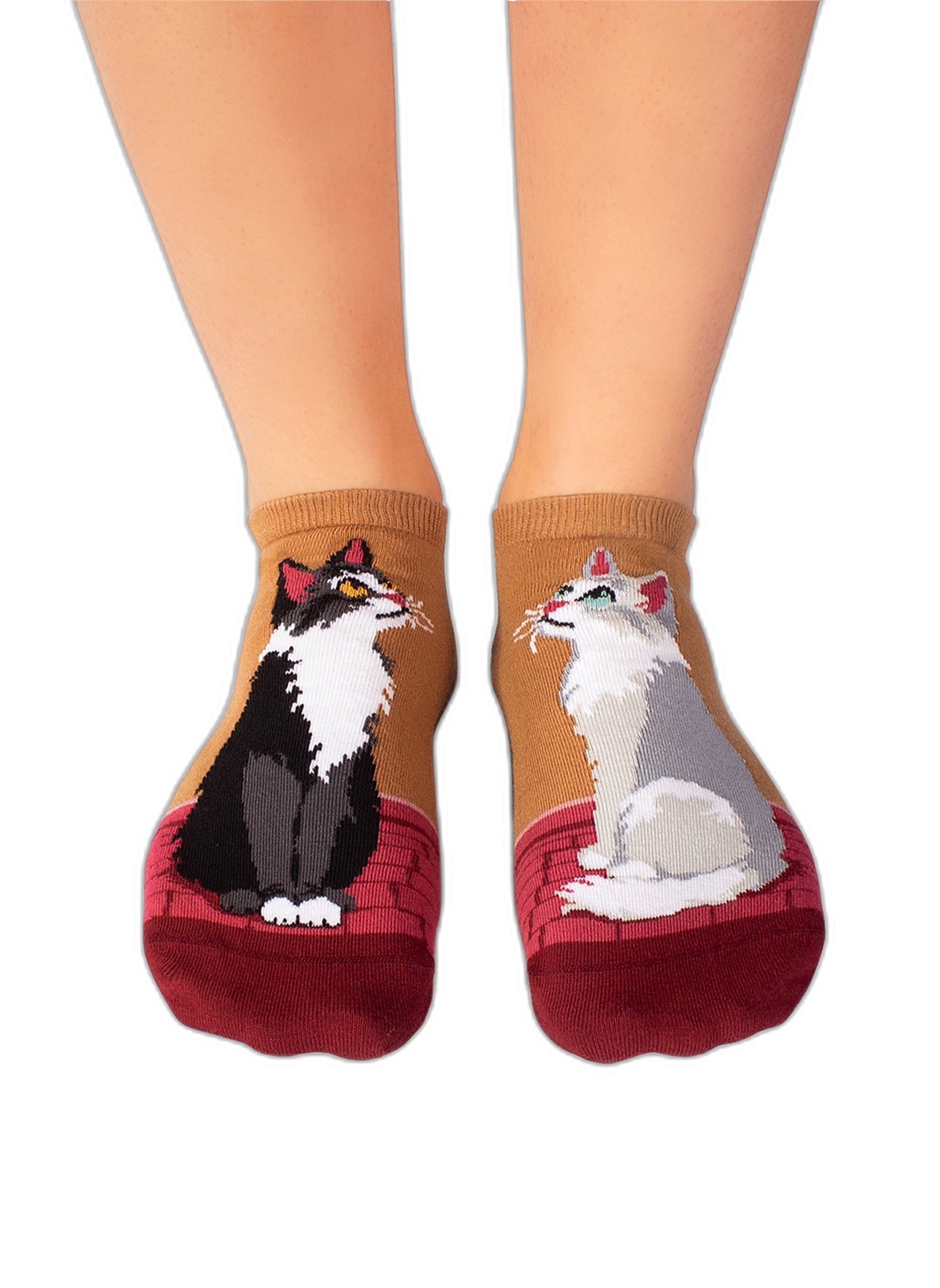 Socquettes Arty Chats de Ville - Packshot