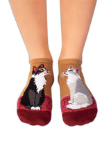 Socquettes Arty Chats de Ville - Packshot