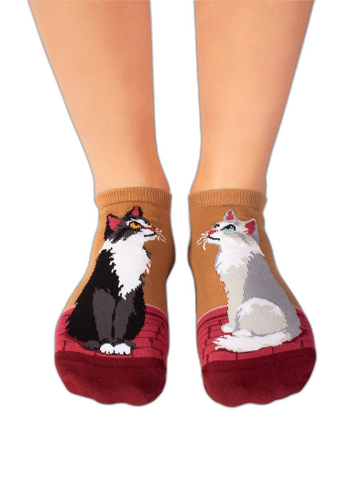 Socquettes Arty Chats de Ville - Packshot