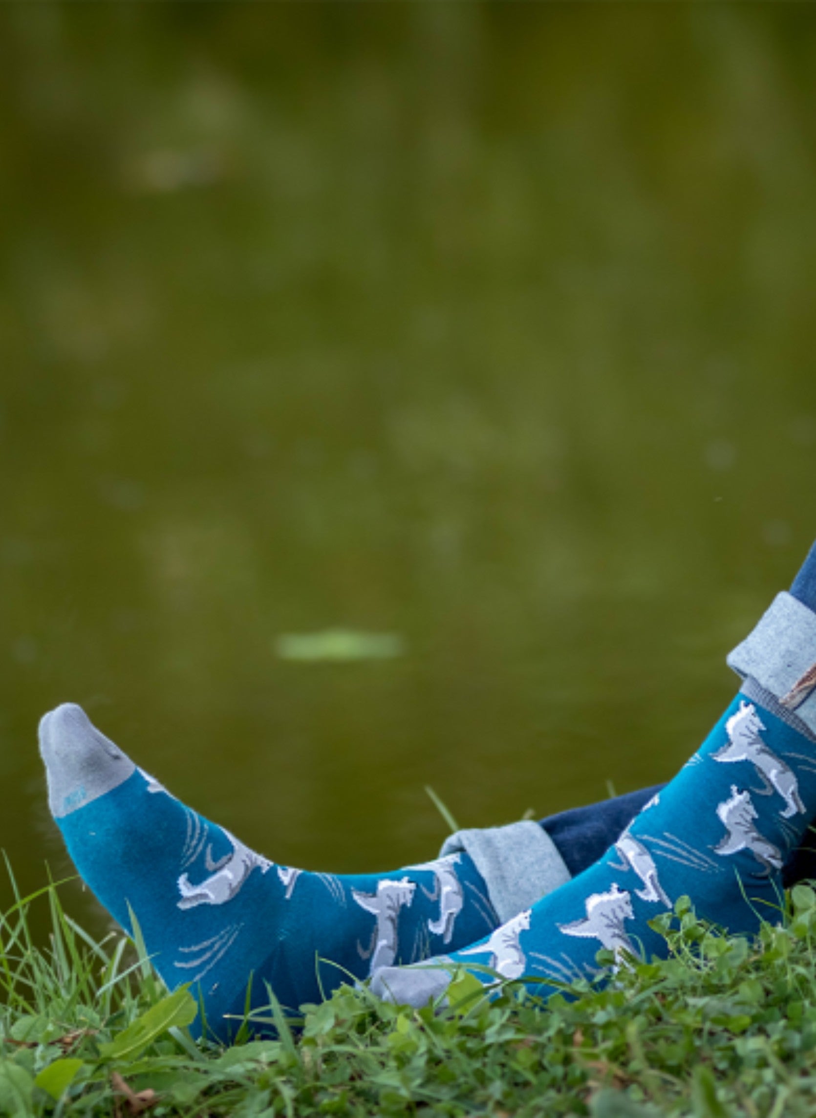 Chaussettes Coton Bleues Loups Blancs