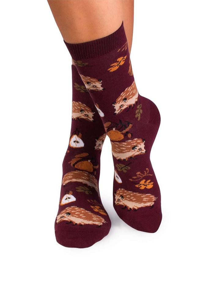 Chaussettes Coton Bio Automne Hérissons - Pirin Hill