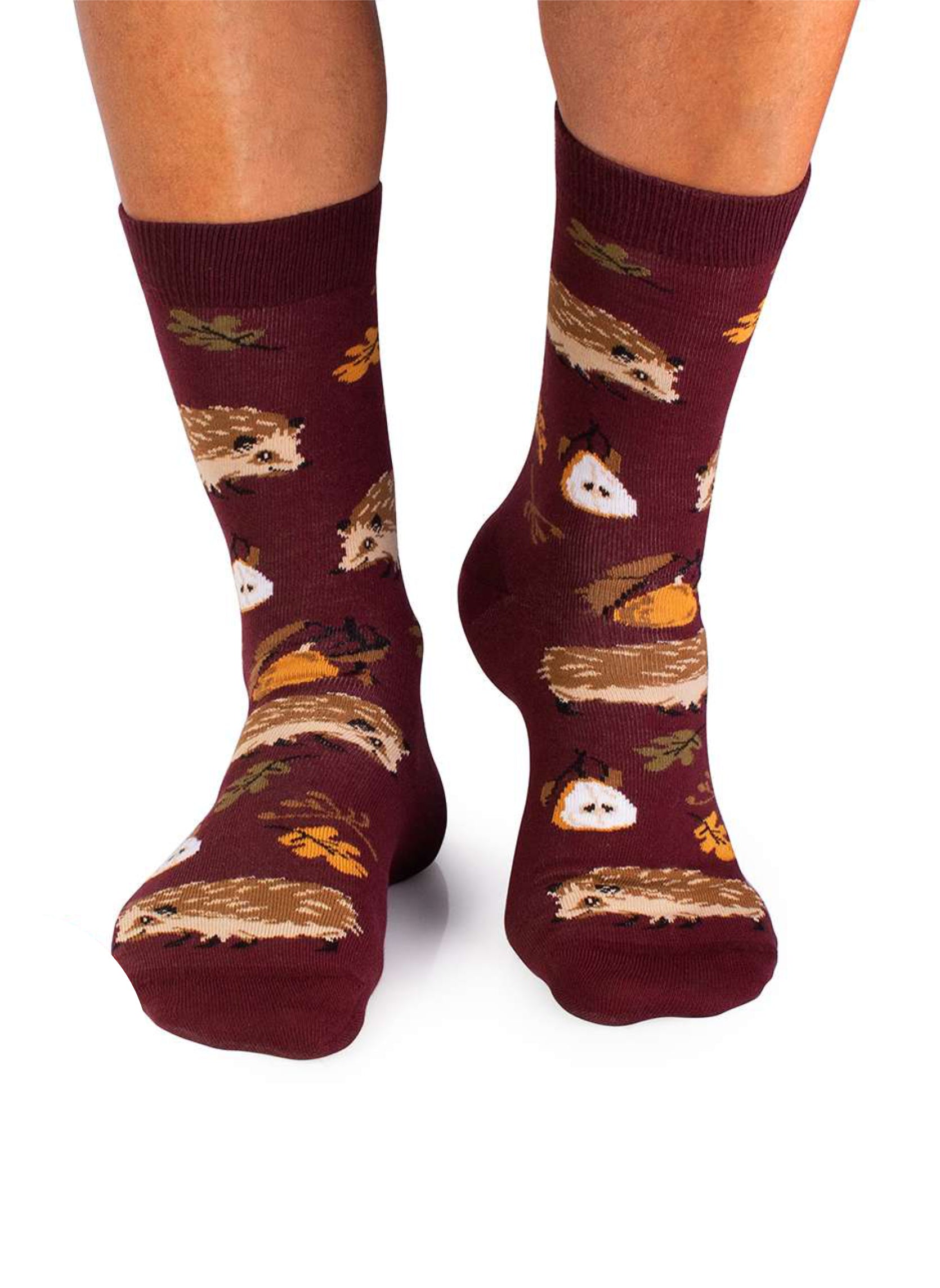 Chaussettes Coton Bio Automne Hérissons