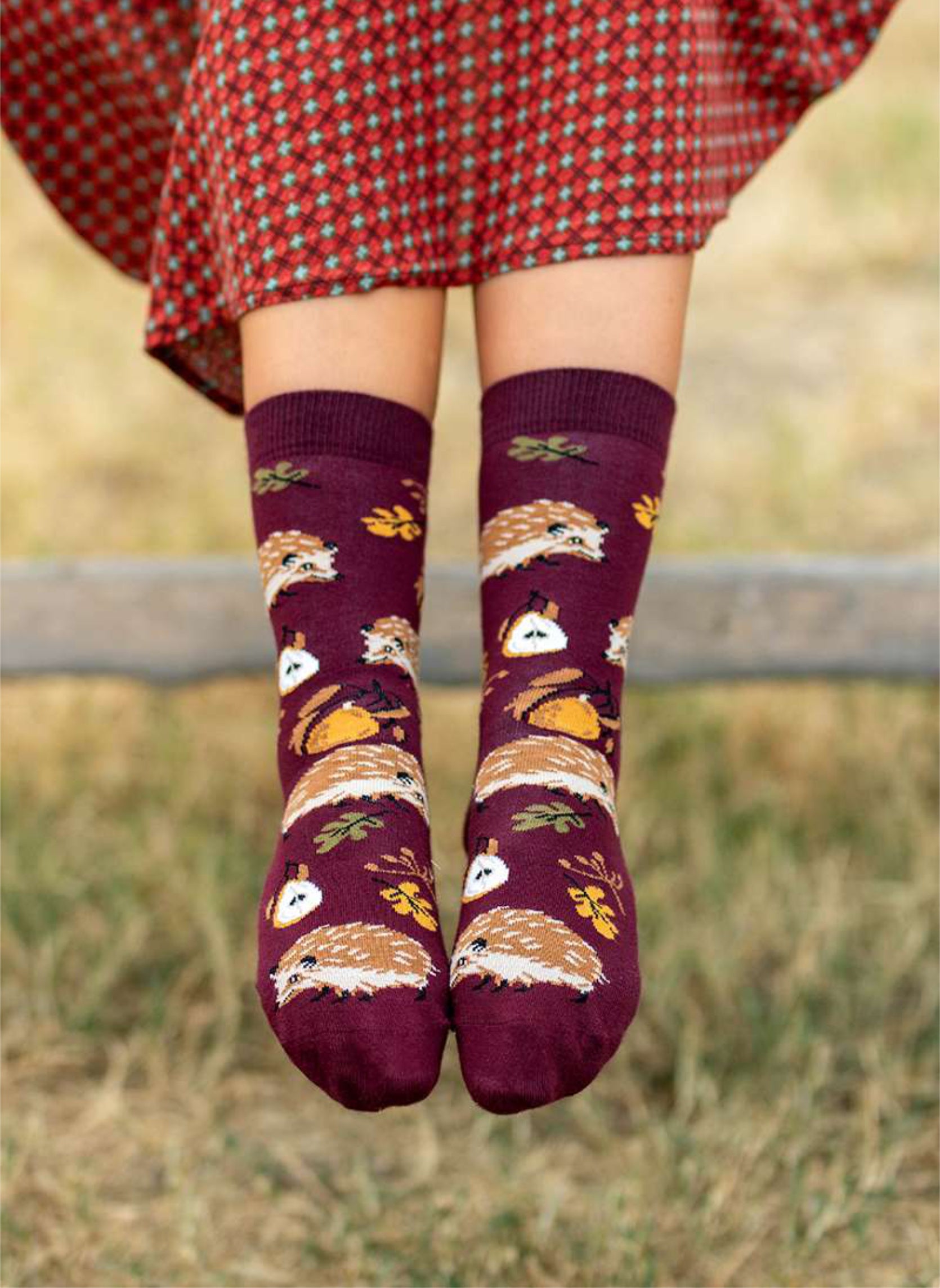 Chaussettes Coton Bio Automne Hérissons