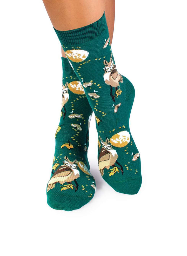 Chaussettes Coton Bio Automne Chouettes - Pirin Hill